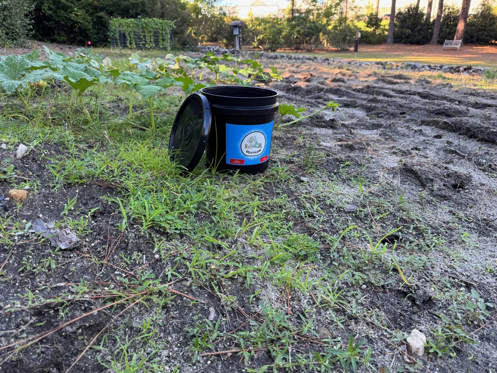 Old Plow bucket sitting in a freshly worked garden plot